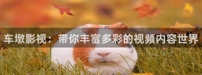 奇优影院电视剧免费版